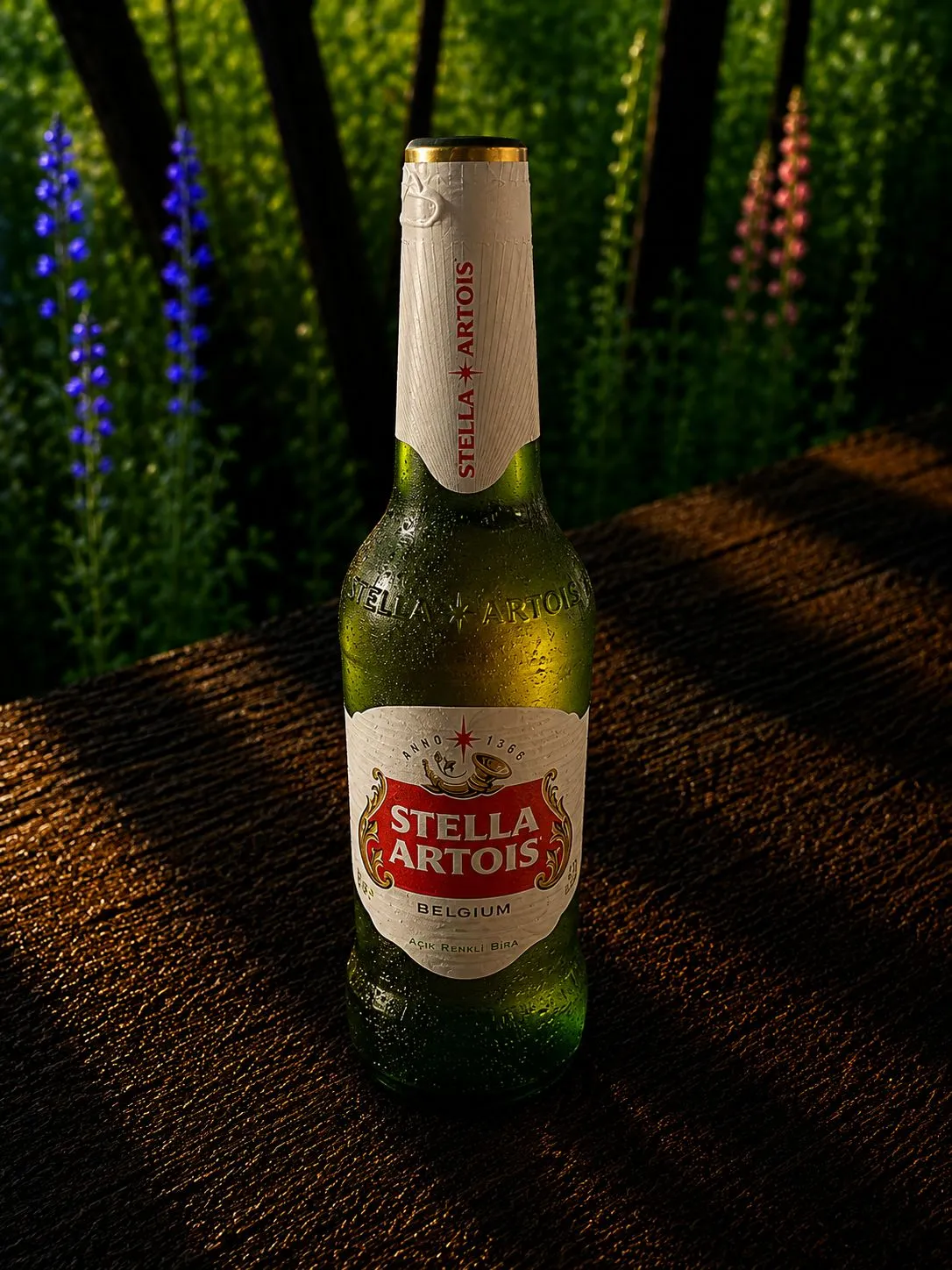 Stella 44cc